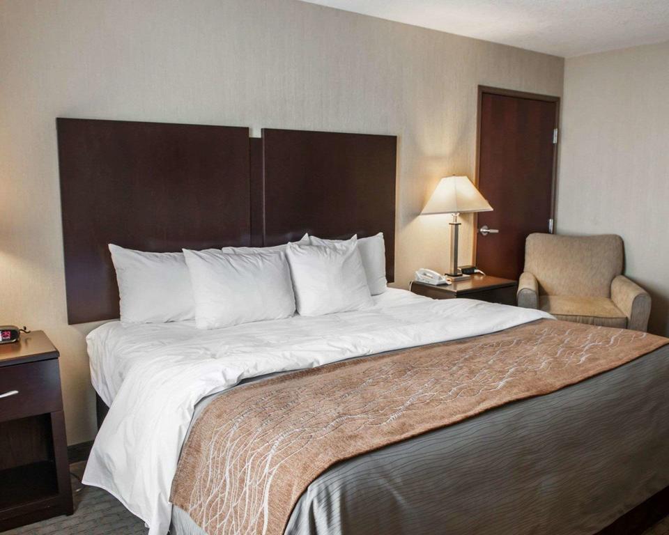 Kingbed