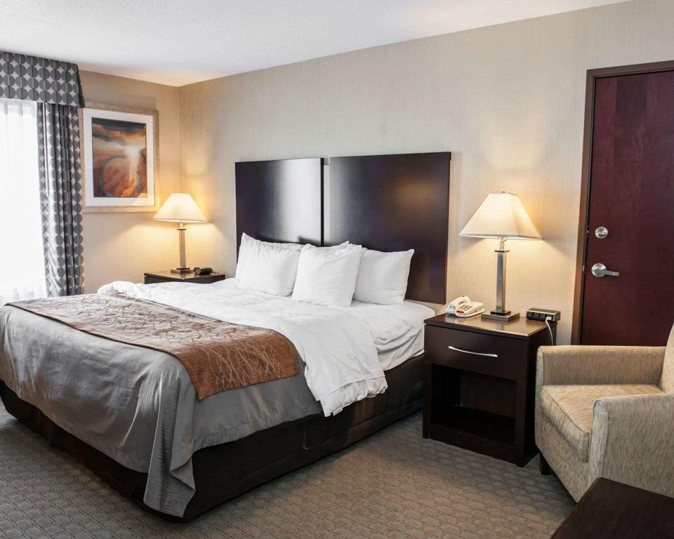 Kingbed