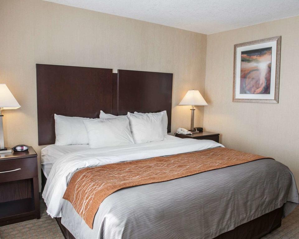 Kingbed
